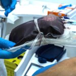 Hemorio de Duque de Caxias realiza plantão especial de doação de sangue neste sábado (25) Hemorio de Duque de Caxias realiza plantão especial de doação de sangue neste sábado (25)