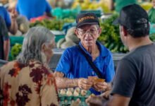 Brasil atinge recorde histórico de 35% de empreendedores formalizados com CNPJ