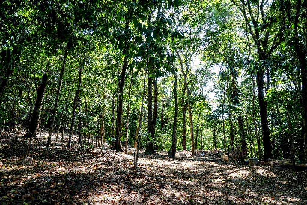 Fundo destina R$ 25 mil a projetos climáticos de jovens em São João de Meriti até outubro
