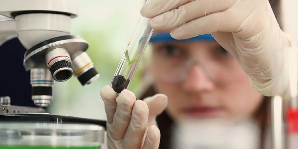 Programa Futuras Cientistas abre inscrições para imersão em laboratórios nacionais