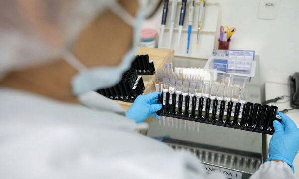 Anvisa libera testes em humanos da vacina brasileira contra malária com aporte de R$ 12 milhões