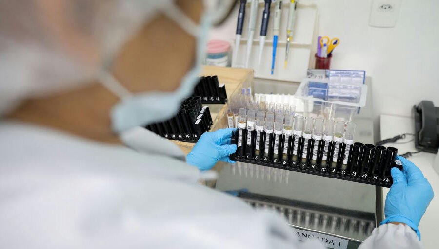 Anvisa libera testes em humanos da vacina brasileira contra malária com aporte de R$ 12 milhões