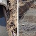 Dudu Reina exige soluções da ANTT para problemas de drenagem em Nova Iguaçu