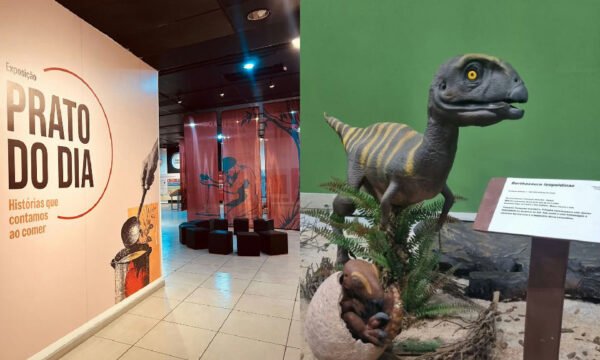 Museu Ciência e Vida promove programação educativa gratuita para o Dia das Crianças