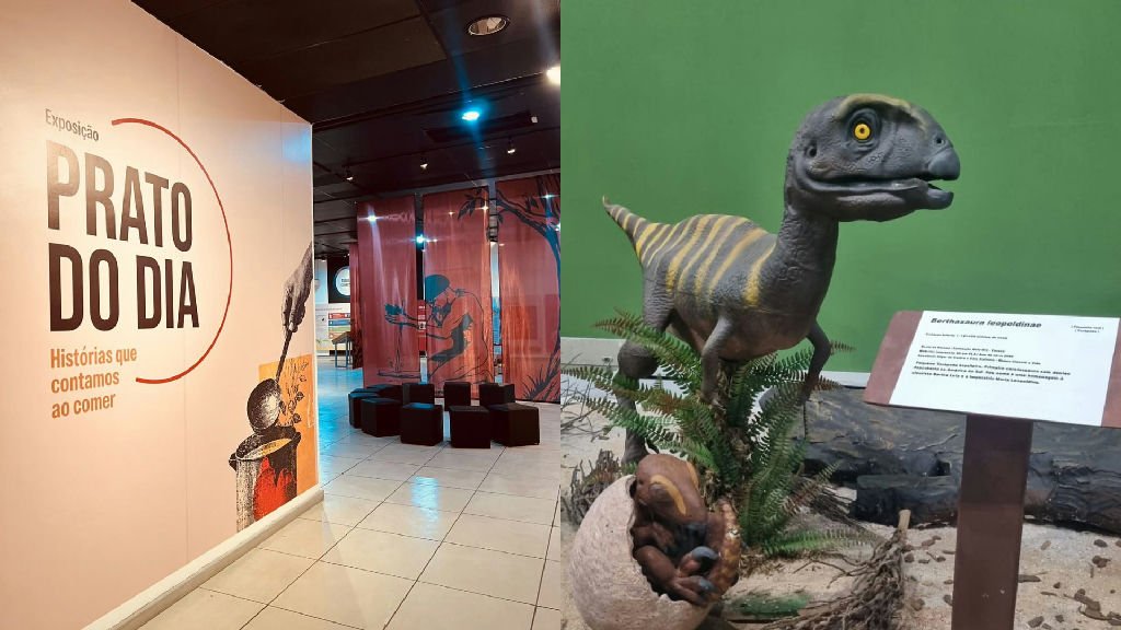 Museu Ciência e Vida promove programação educativa gratuita para o Dia das Crianças