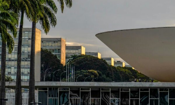 Nikolas Ferreira e Lucas Pavanato lideram votação para deputado federal no país em 2026
