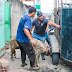Operação resgata 18 porcos em condições precárias no bairro Coelho da Rocha, em São João de Meriti
