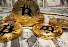Site distribui criptomoedas em troca de apoio político a Flávio Bolsonaro